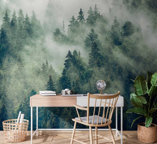 Wald von Bäumen mit Nebel Wald von Bäumen mit Nebel