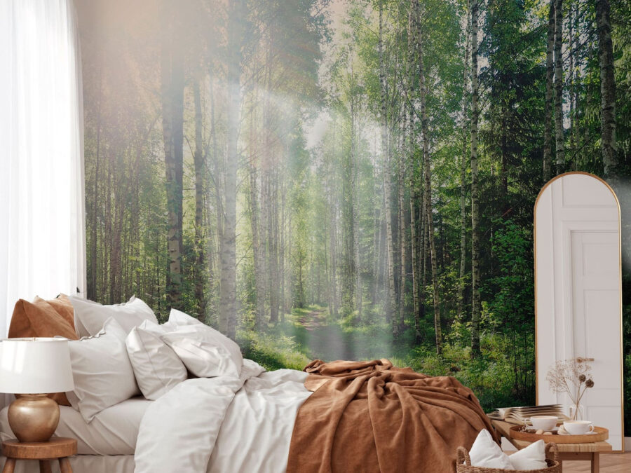 Pfad durch einen Wald von Bäumen
