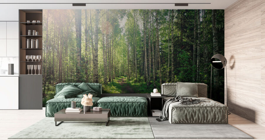 Pfad durch einen Wald von Bäumen