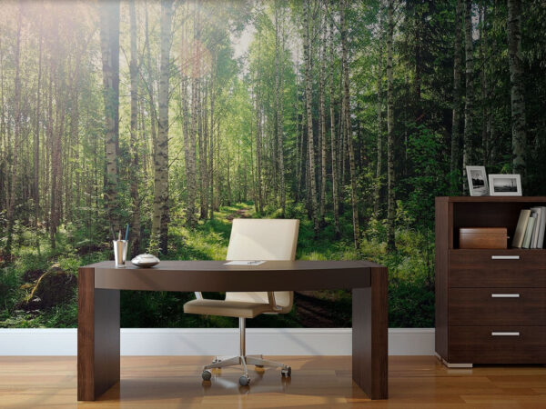Pfad durch einen Wald von Bäumen Pfad durch einen Wald von Bäumen
