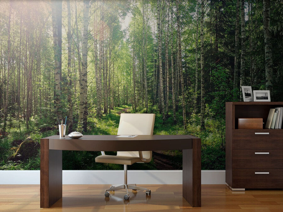 Pfad durch einen Wald von Bäumen