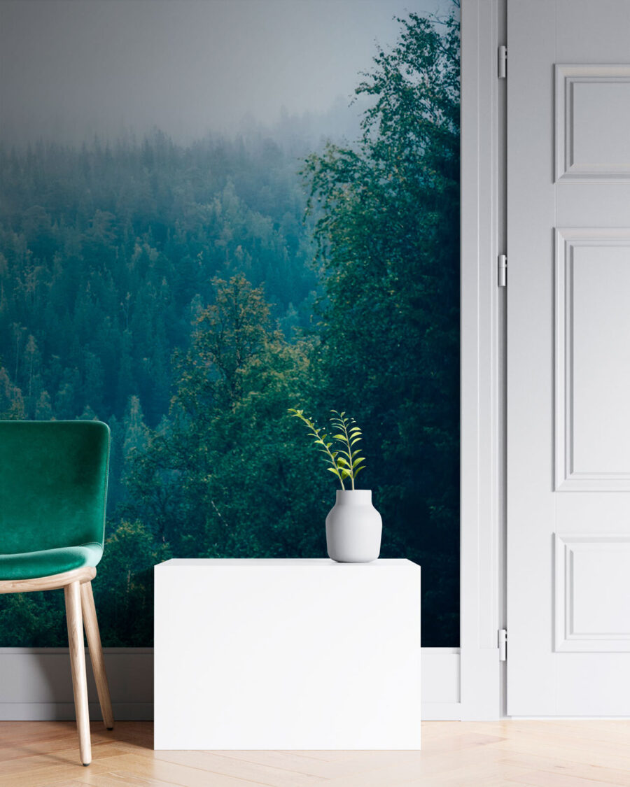 Wald von Bäumen mit Nebel