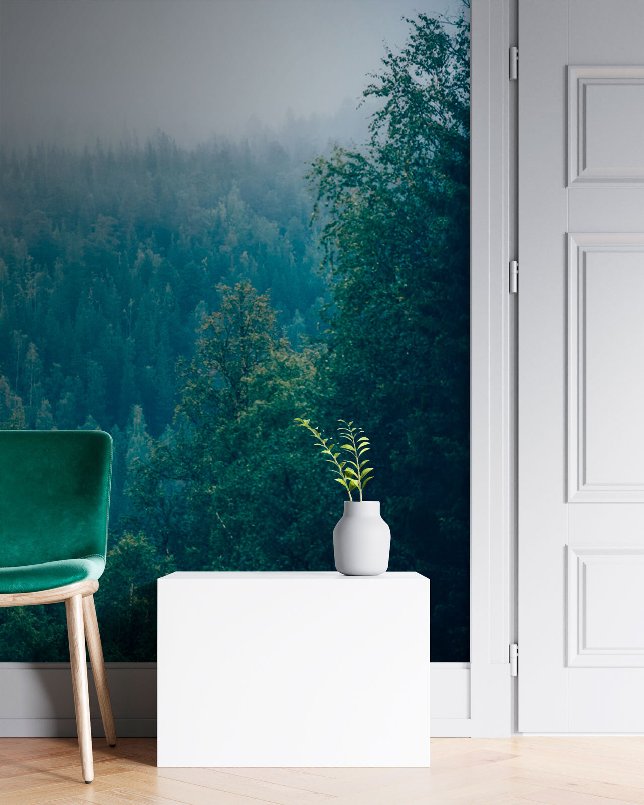 u74236pih1m - Wald von Bäumen mit Nebel - tegory