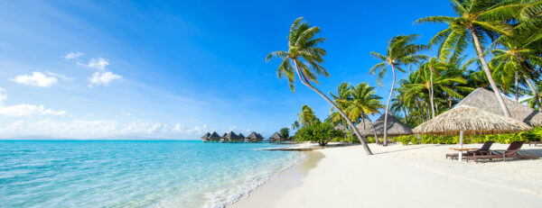 Strand mit Palmen und Hütten Strand mit Palmen und Hütten