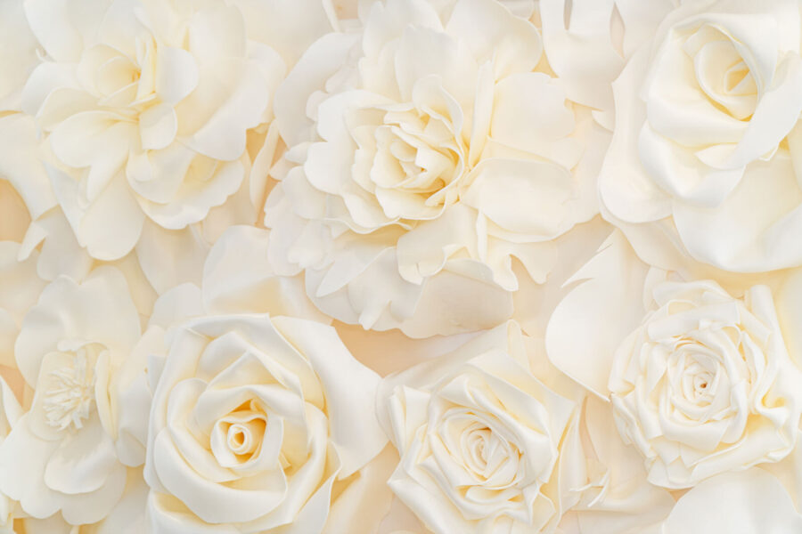 Gruppe von weißen Blumen