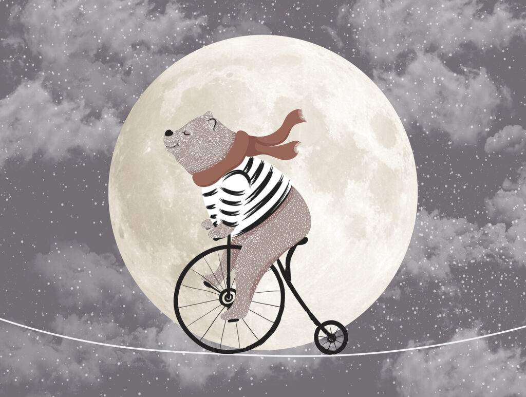 Bär auf einem Fahrrad Bär auf einem Fahrrad