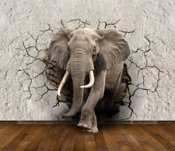 Ein Elefant, der durch eine Wand kommt Ein Elefant, der durch eine Wand kommt