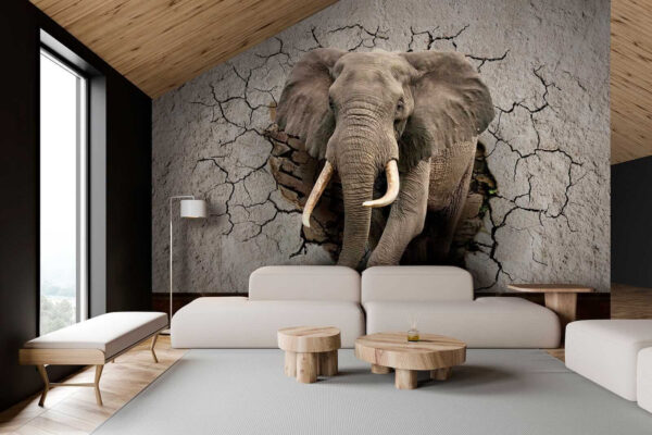 Ein Elefant, der durch eine Wand kommt Ein Elefant, der durch eine Wand kommt