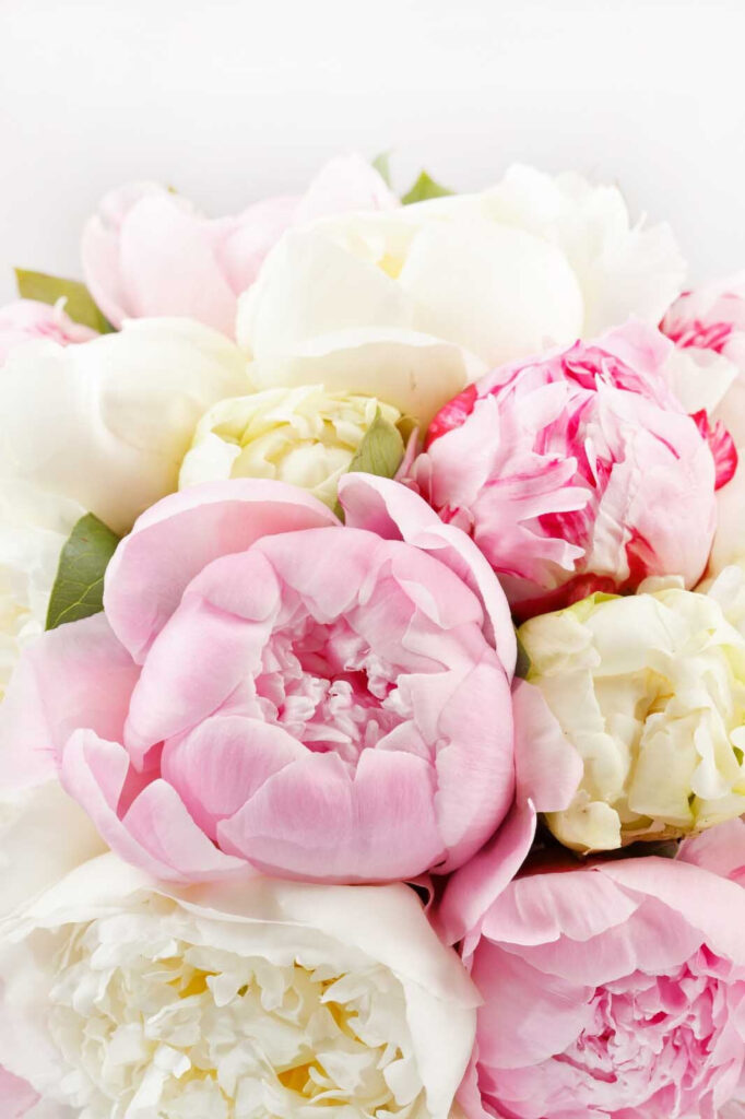 Blumenstrauß aus rosa und weißen Blumen Blumenstrauß aus rosa und weißen Blumen