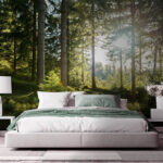 Fototapeten Die Sonne scheint durch die Bäume