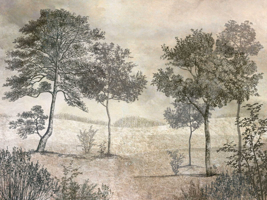 Zeichnung von Bäumen auf einem Feld Zeichnung von Bäumen auf einem Feld