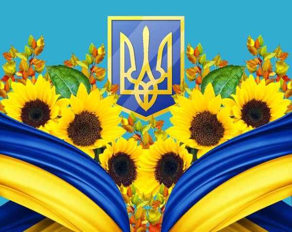 Gruppe von Sonnenblumen und ein blauer und gelber Vorhang Gruppe von Sonnenblumen und ein blauer und gelber Vorhang