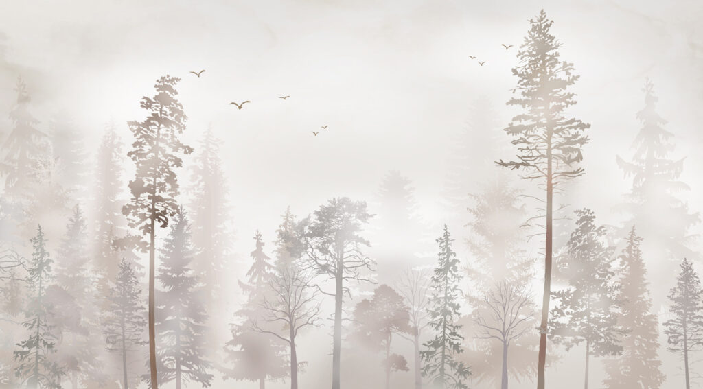 Eine Gruppe von Bäumen in einem nebligen Wald Eine Gruppe von Bäumen in einem nebligen Wald