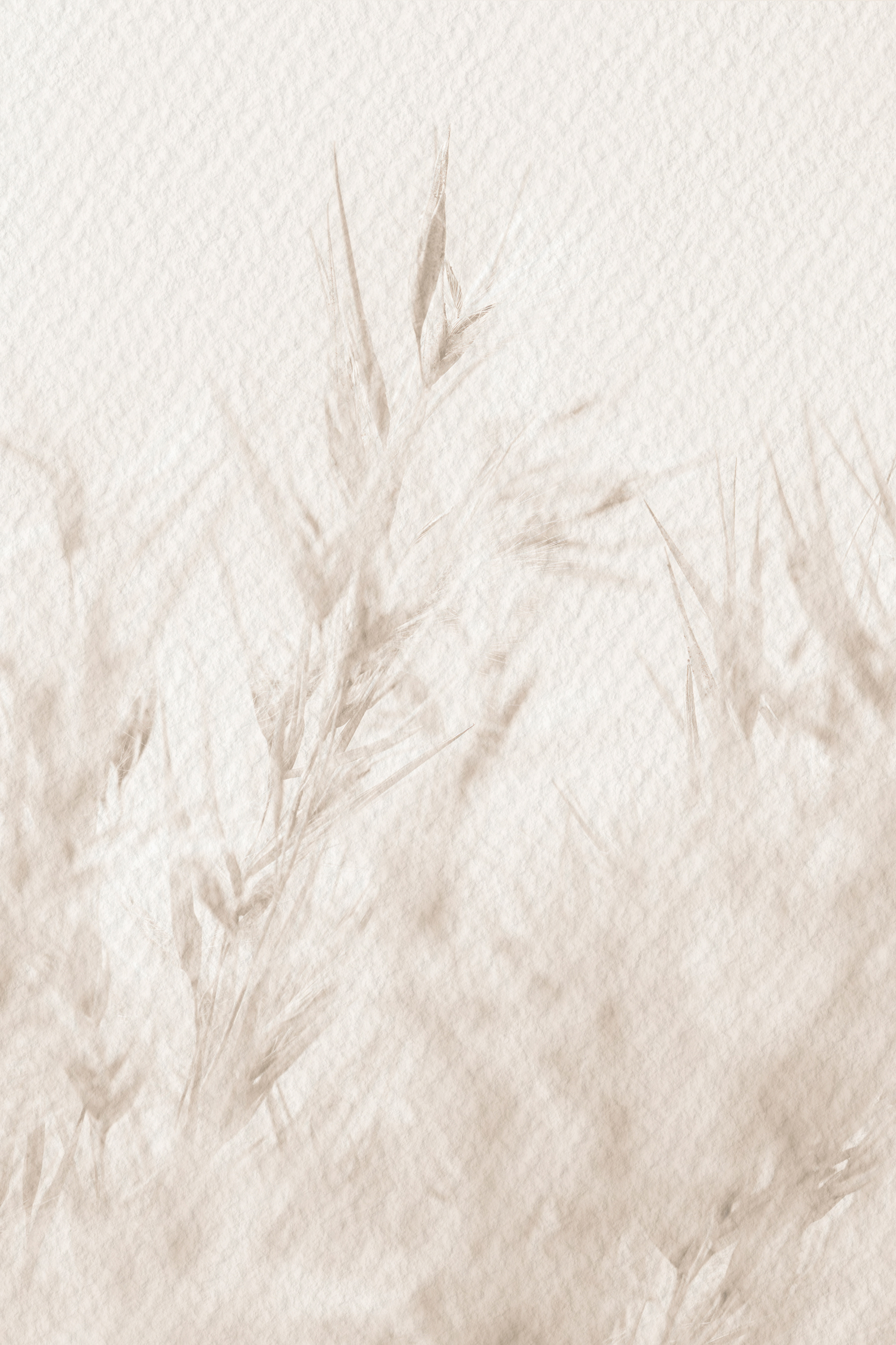 Soft nature in neutral tones Soft nature in neutral tones
