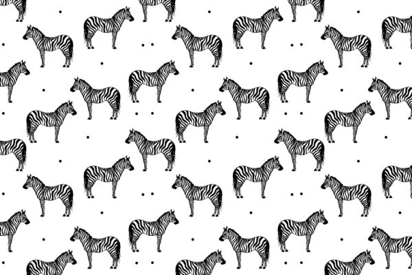 Ein Muster aus Zebras auf weißem Hintergrund u98193p 600x400 - Ein Muster aus Zebras auf weißem Hintergrund