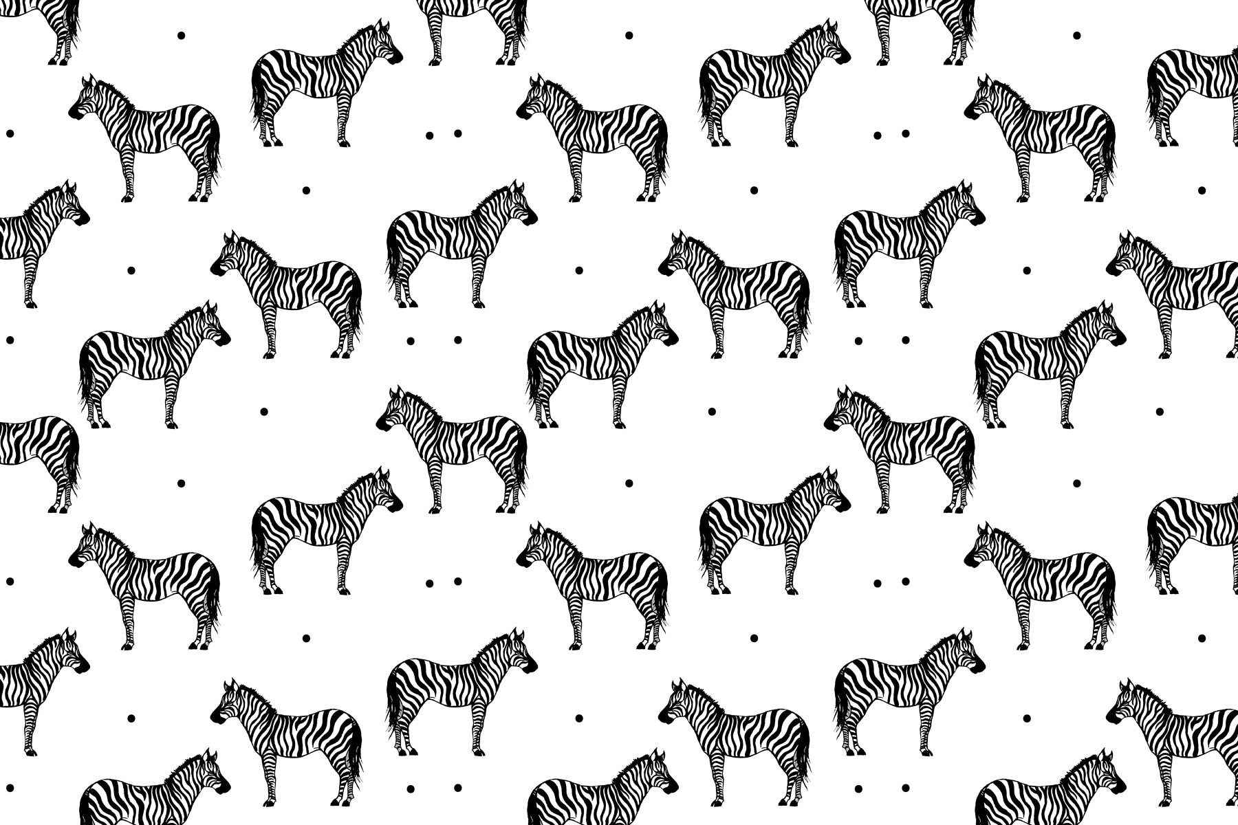 Ein Muster aus Zebras auf weißem Hintergrund u98193p - Ein Muster aus Zebras auf weißem Hintergrund