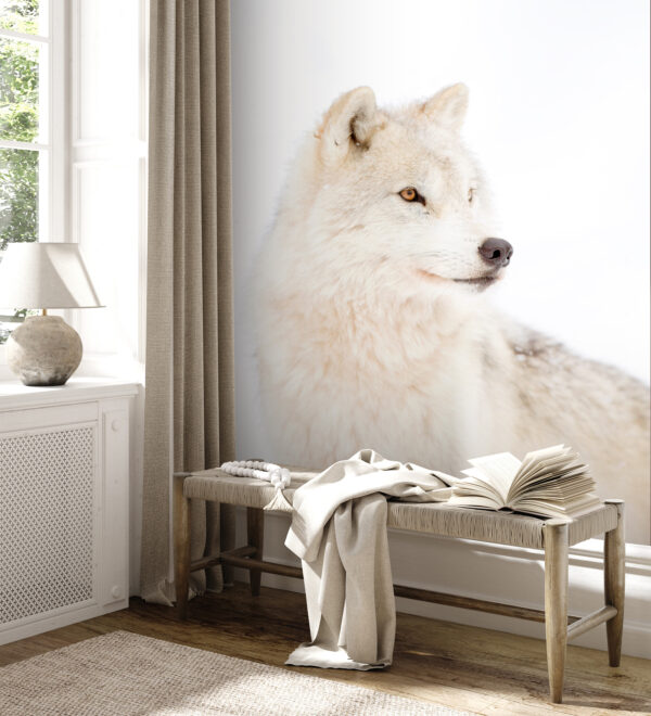 Ein weißer Wolf im Schnee Ein weißer Wolf im Schnee