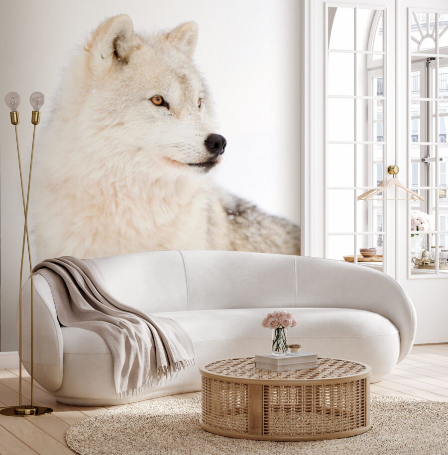 Ein weißer Wolf im Schnee Ein weißer Wolf im Schnee