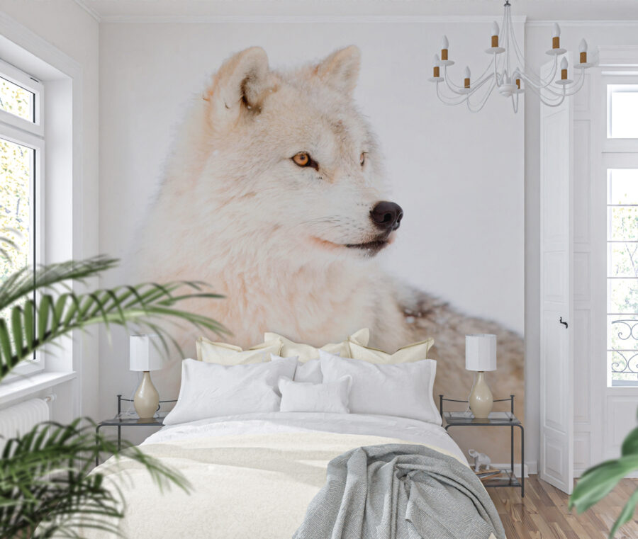 Ein weißer Wolf im Schnee Ein weißer Wolf im Schnee