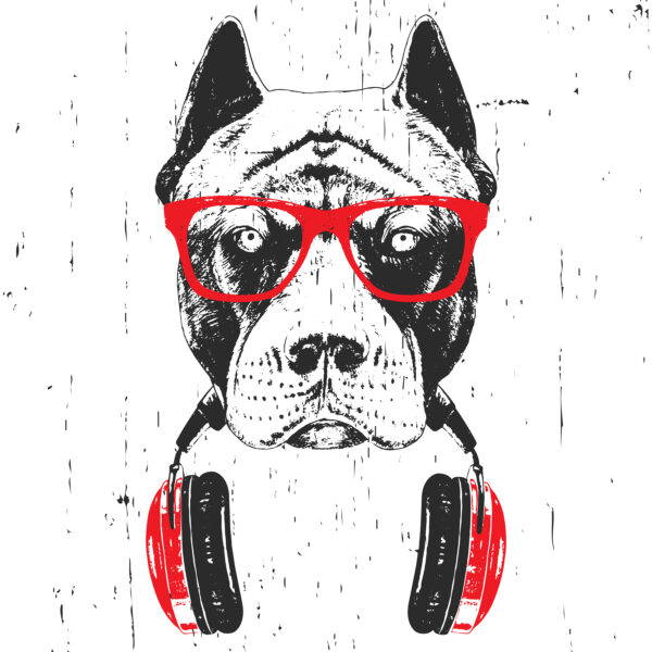 Ein Hund mit Brille und Kopfhörern Ein Hund mit Brille und Kopfhörern