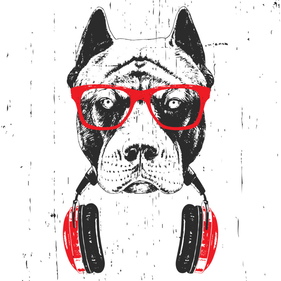 Ein Hund mit Brille und Kopfhörern Ein Hund mit Brille und Kopfhörern