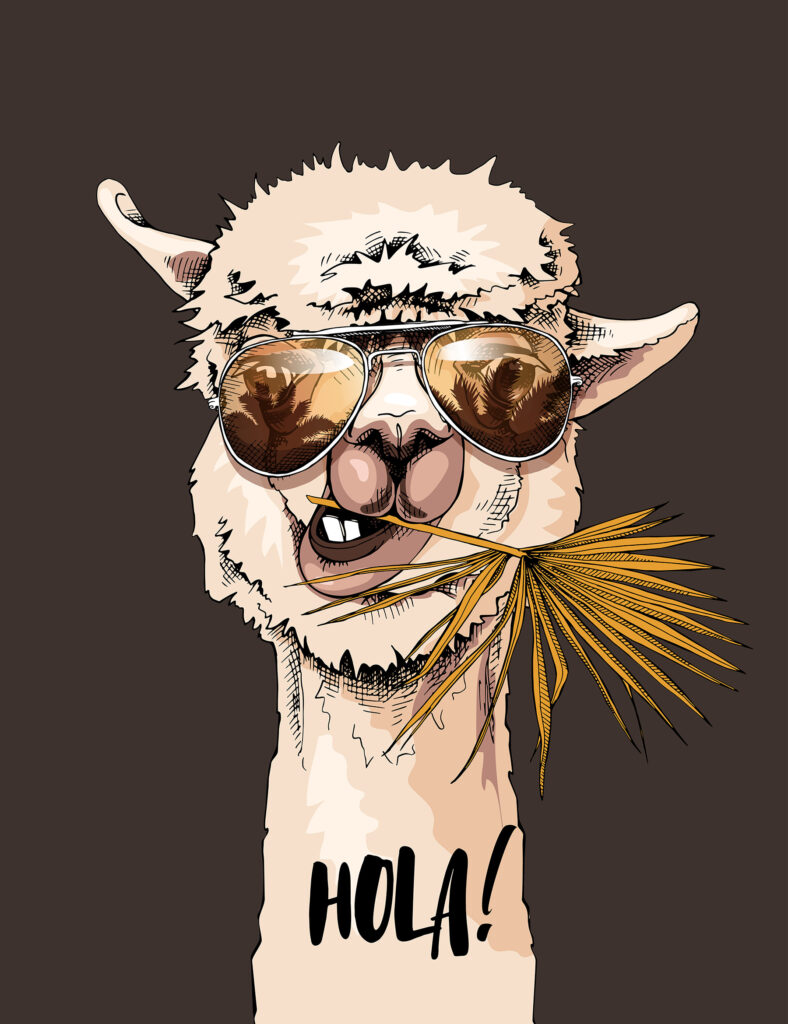 Ein Lama trägt eine Sonnenbrille und frisst ein Blatt Ein Lama trägt eine Sonnenbrille und frisst ein Blatt