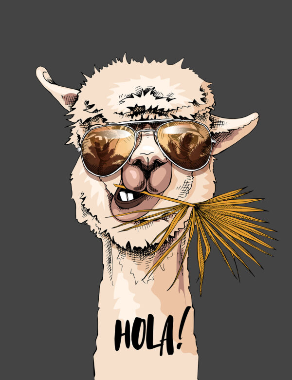 Ein Lama trägt eine Sonnenbrille und frisst ein Blatt Ein Lama trägt eine Sonnenbrille und frisst ein Blatt