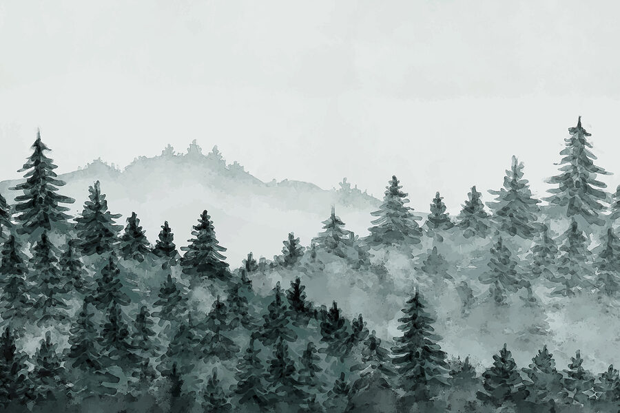 Ein nebliger Wald mit Bäumen Ein nebliger Wald mit Bäumen