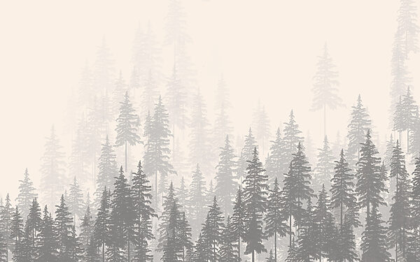 Eine Gruppe von Bäumen in einem Wald Eine Gruppe von Bäumen in einem Wald