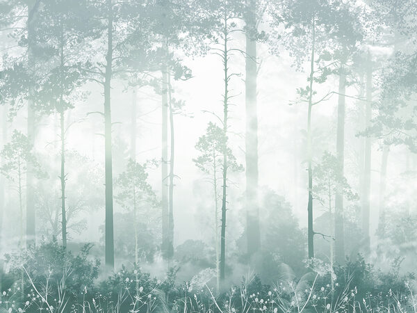 Ein nebliger Wald mit hohen Bäumen Ein nebliger Wald mit hohen Bäumen