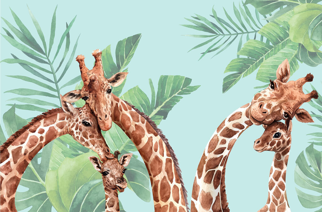 Eine Gruppe von Giraffen, die ihre Köpfe zusammenstecken Eine Gruppe von Giraffen, die ihre Köpfe zusammenstecken