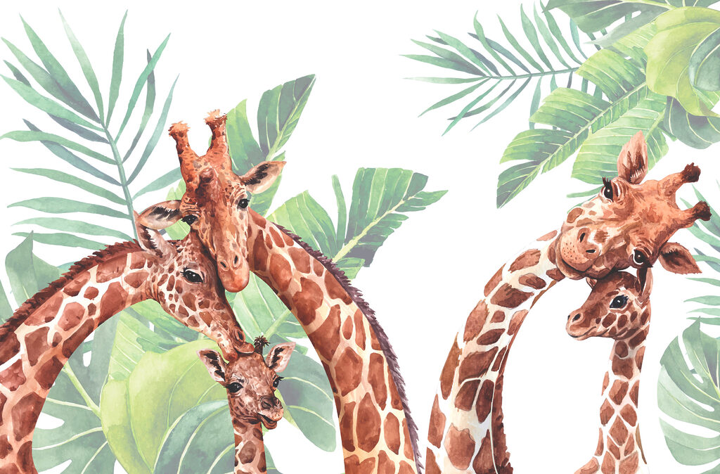 Eine Gruppe von Giraffen mit ihren Köpfen vor Blättern Eine Gruppe von Giraffen mit ihren Köpfen vor Blättern