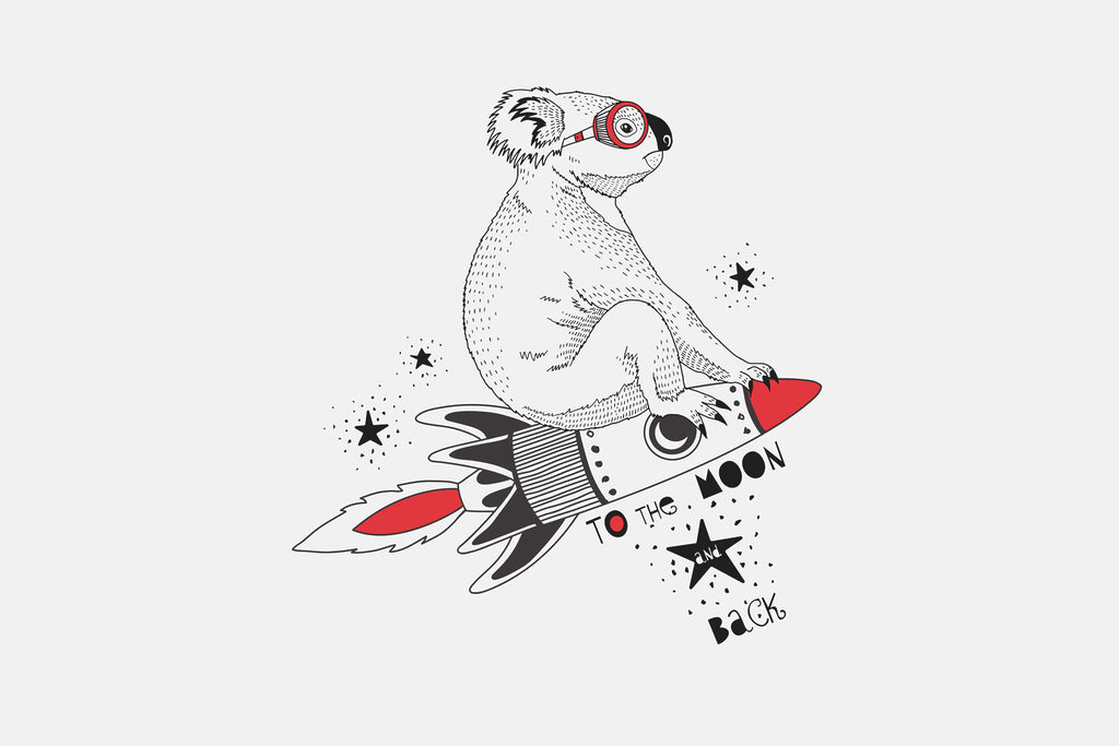 Ein Koala auf einer Rakete Ein Koala auf einer Rakete