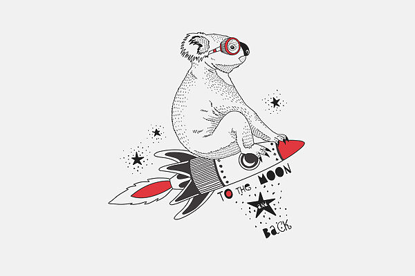 Ein Koala auf einer Rakete Ein Koala auf einer Rakete