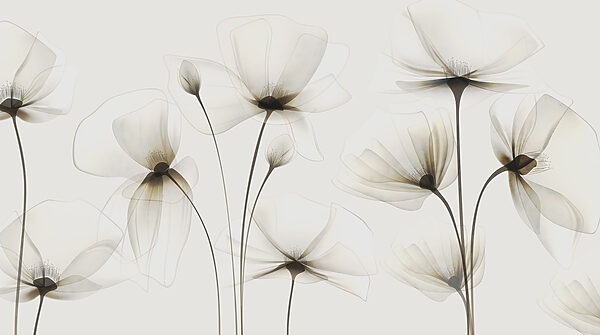 Eine transparente Blume auf weißem Hintergrund Eine transparente Blume auf weißem Hintergrund