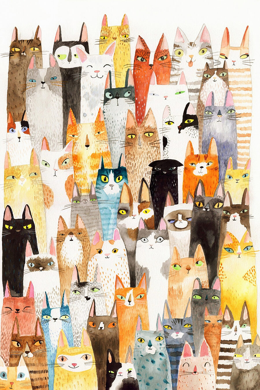 Eine Gruppe von Katzen in einer großen Gruppe
