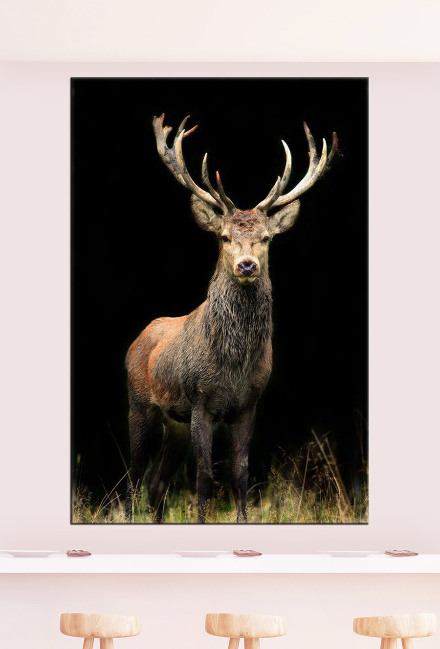 Ein Hirsch mit Geweih in der Dunkelheit Ein Hirsch mit Geweih in der Dunkelheit