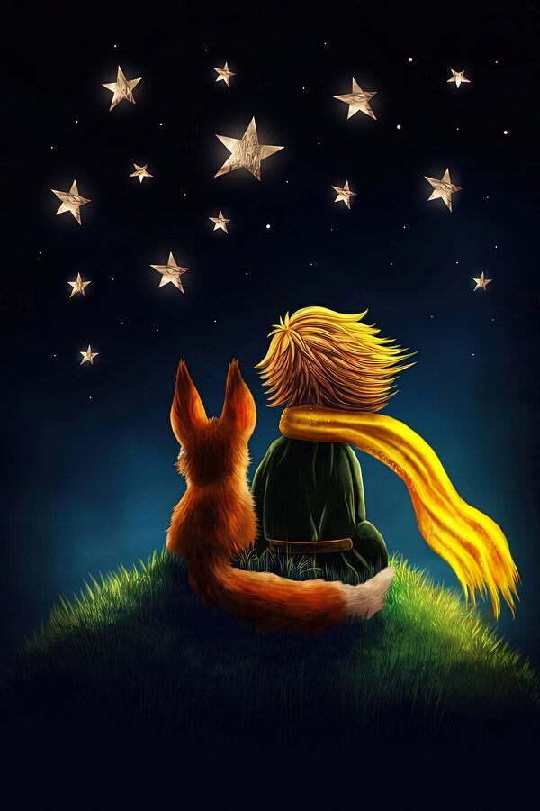 A fox and a little prince looking at stars