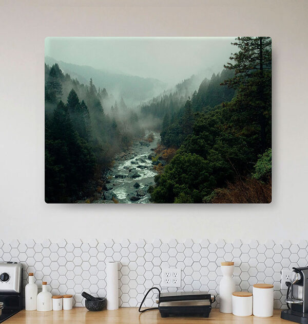 Ein Fluss, der durch einen Wald fließt Wandbilder Ein Fluss, der durch einen Wald fließt