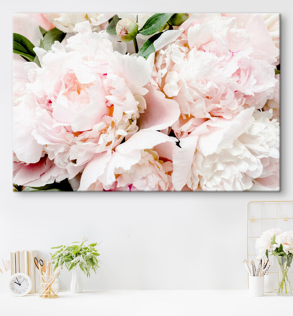 A group of pink flowers