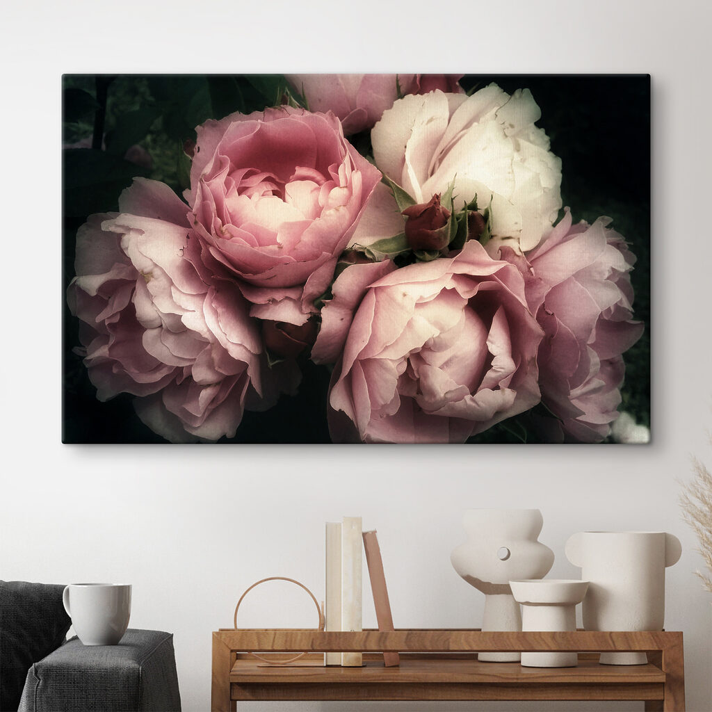 A group of pink and white roses