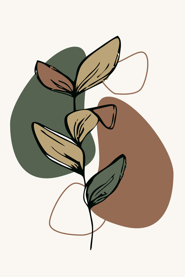 A plant with leaves and a few circles
