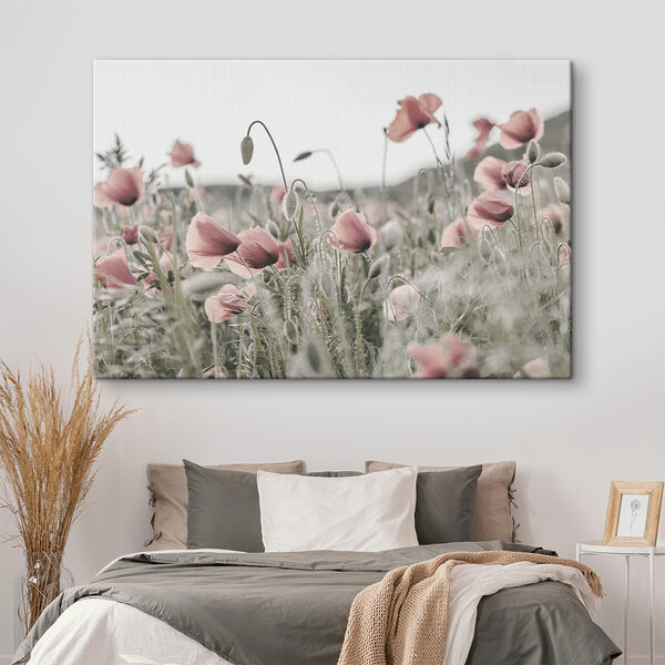 Ein Feld mit rosa Blumen Ein Feld mit rosa Blumen