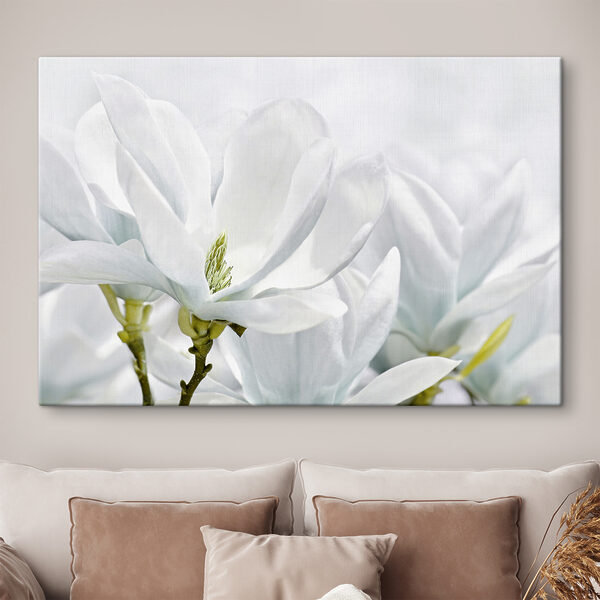 Nahaufnahme von weißen Blumen Nahaufnahme von weißen Blumen