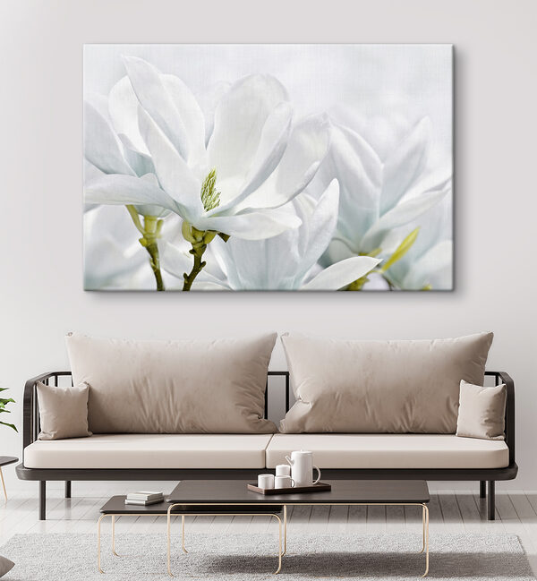 Nahaufnahme von weißen Blumen Nahaufnahme von weißen Blumen