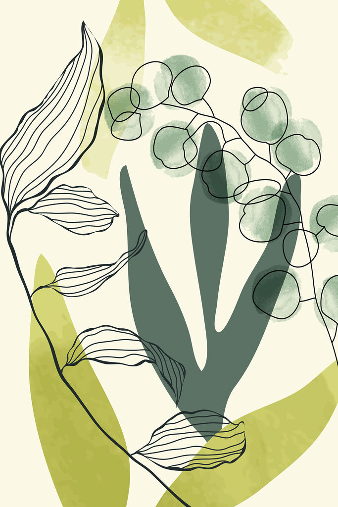 A drawing of a plant