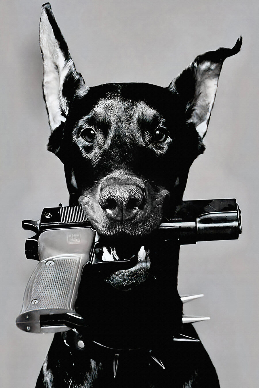 Ein Hund, der eine Pistole hält