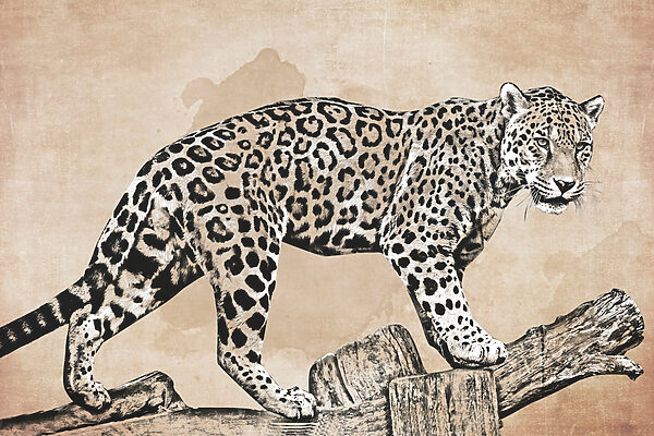 Eine Zeichnung eines Leoparden, der auf einem Baumstamm läuft Eine Zeichnung eines Leoparden, der auf einem Baumstamm läuft