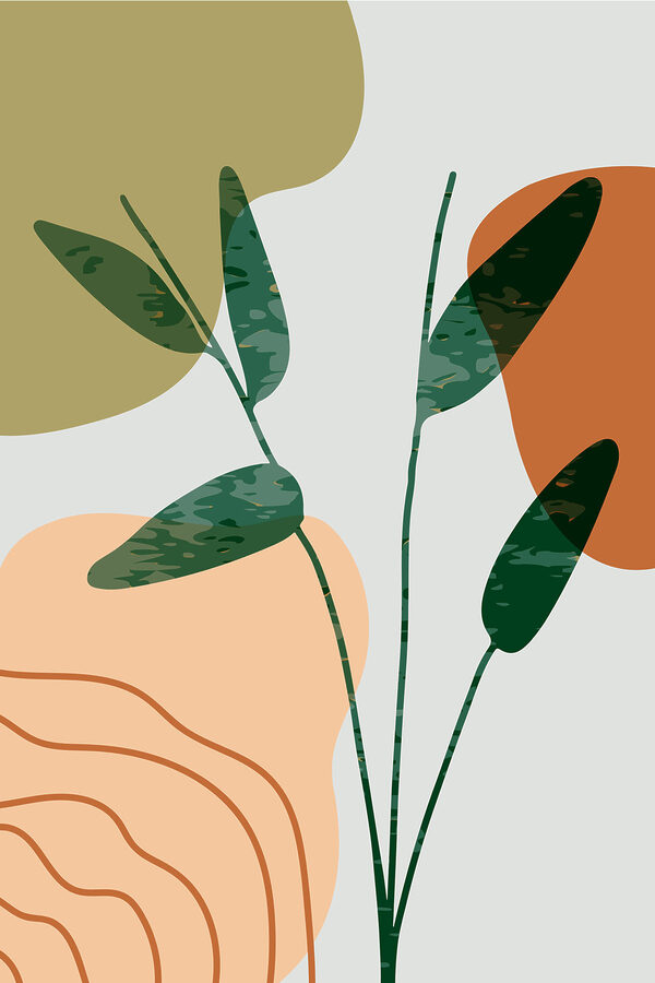 A green and orange leaves A green and orange leaves