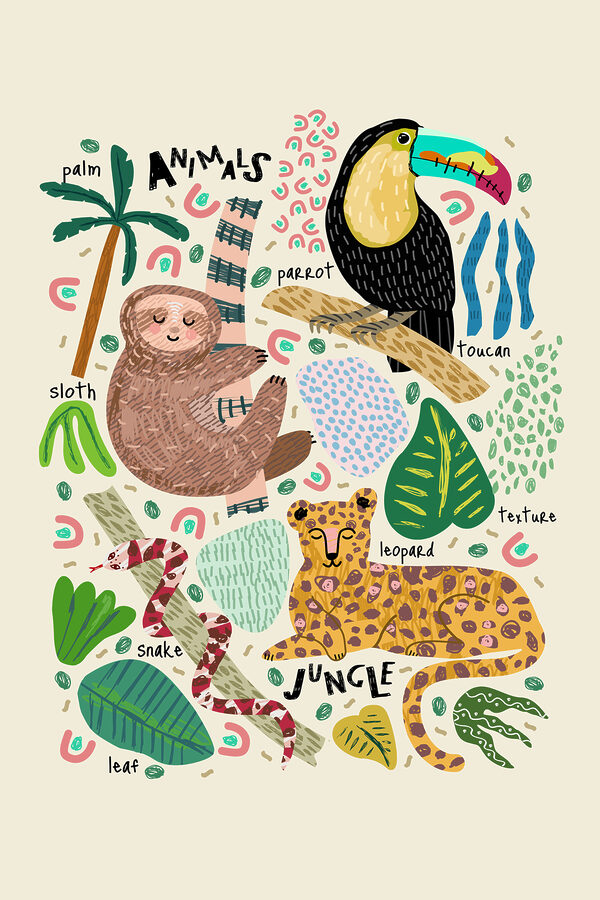 A group of animals and plants